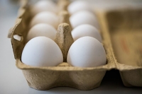 美國雞蛋疑受沙門氏菌污染