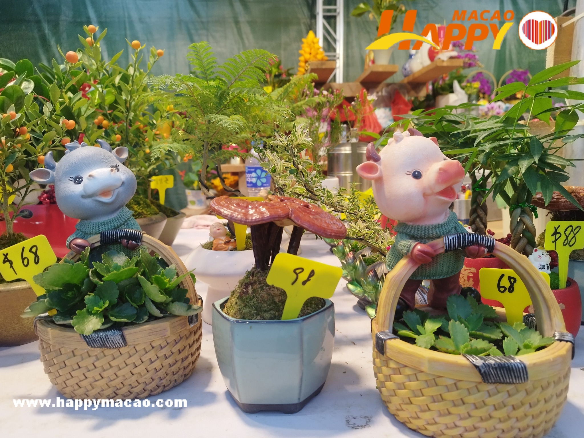 492410215_1245463707580978_8975507061885963679_n