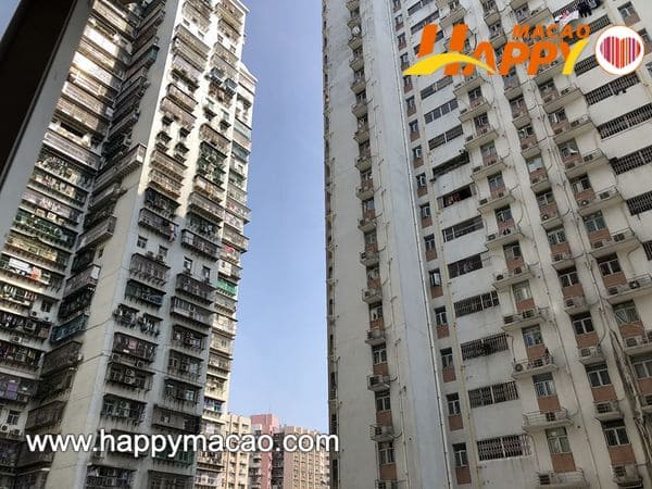 92796732_4242997199074238_6292498148044570624_o_1_1_1