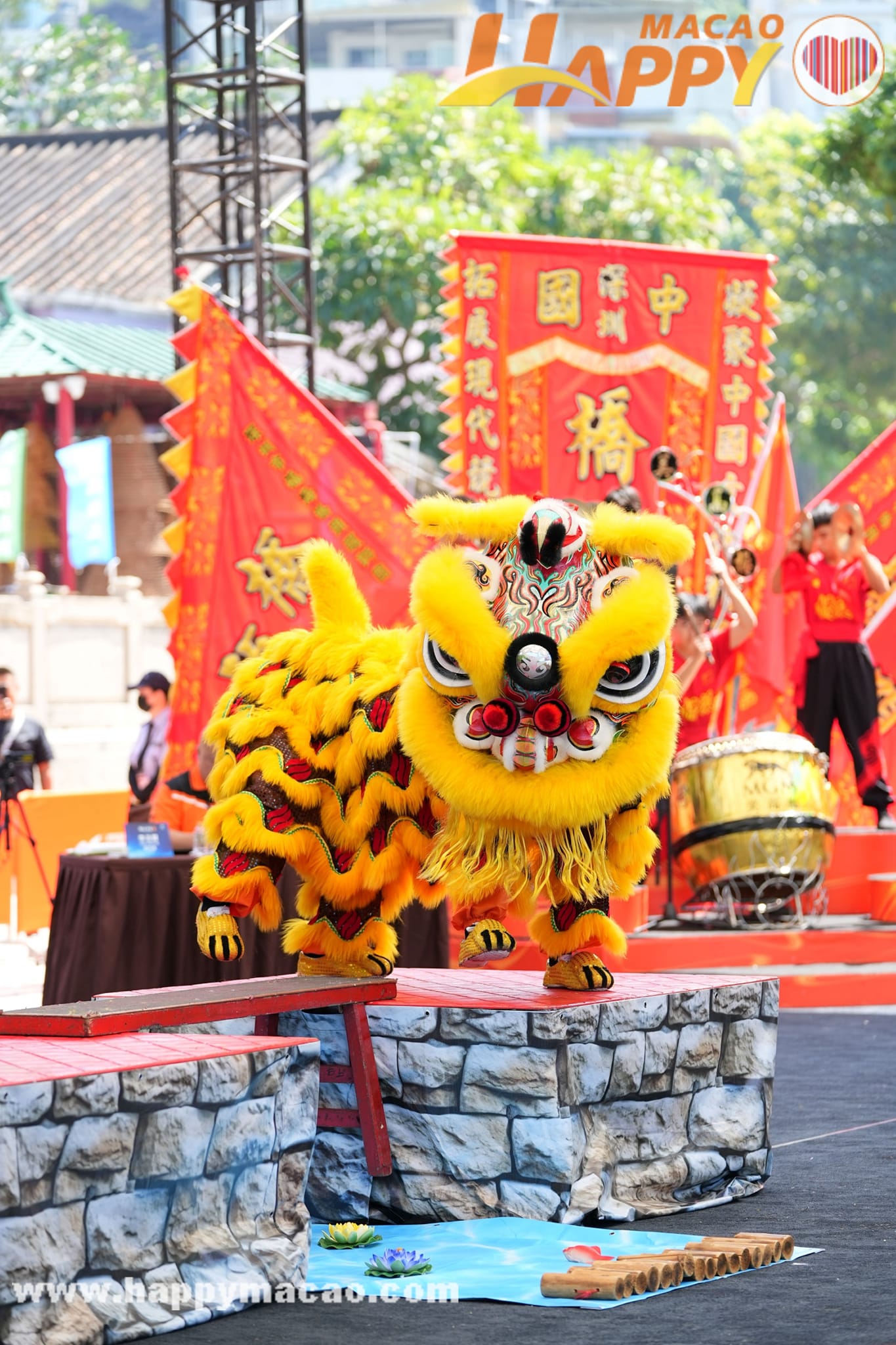 490784750_1237907491669933_1797184828133162496_n