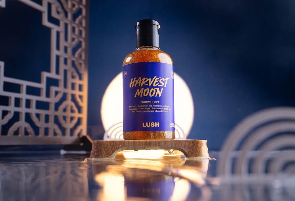 538591379_31798242656456321_2148384060798711705_n