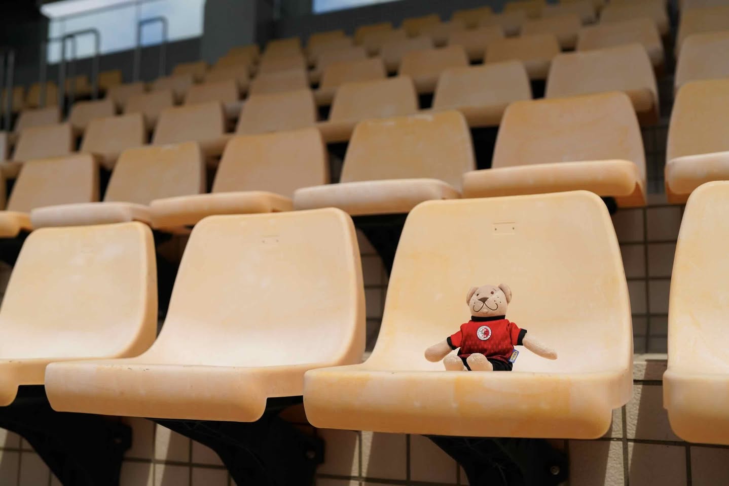 558961520_32502622566018323_1512021521704064316_n