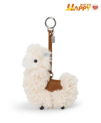 FB_IMG_1743999821545